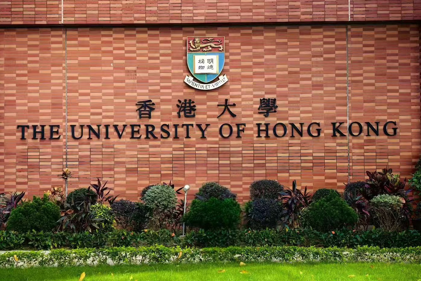 图片展示